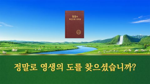 정말로 영생의 도를 찾으셨습니까?
